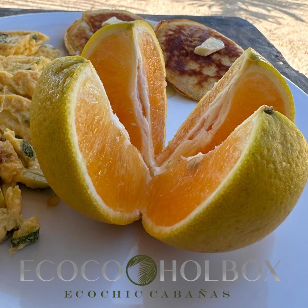 Ecoco Holbox - Ecochic - Cabanas De Madera - Holbox Retreat Екстериор снимка